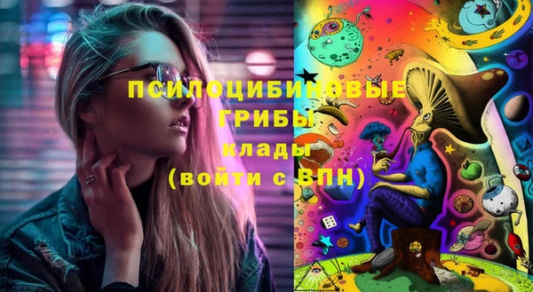 ГАЛЛЮЦИНОГЕННЫЕ ГРИБЫ Белокуриха