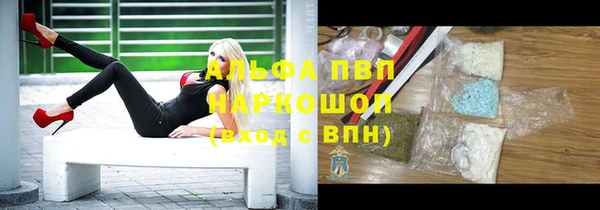 ГАЛЛЮЦИНОГЕННЫЕ ГРИБЫ Белокуриха