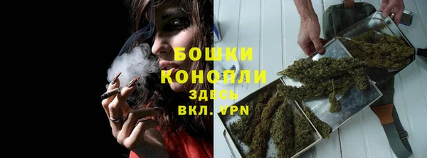 ГАЛЛЮЦИНОГЕННЫЕ ГРИБЫ Белокуриха
