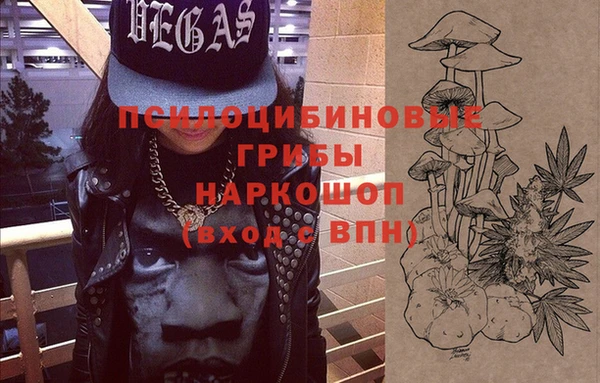 ГАЛЛЮЦИНОГЕННЫЕ ГРИБЫ Белокуриха
