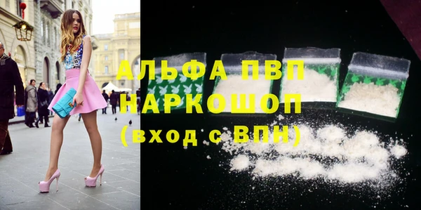 ГАЛЛЮЦИНОГЕННЫЕ ГРИБЫ Белокуриха
