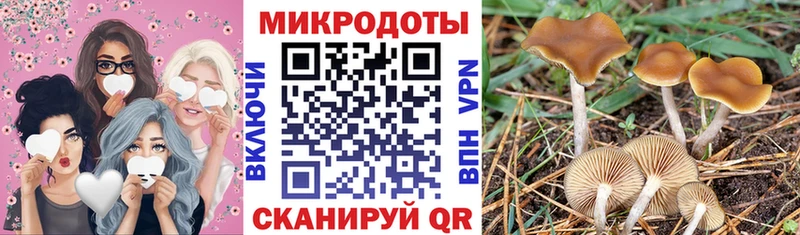Галлюциногенные грибы ЛСД Верхний Уфалей